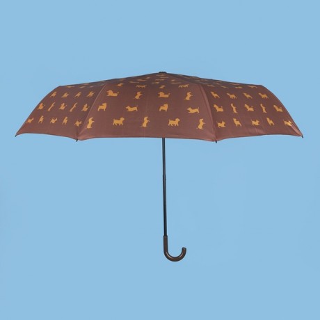 Paraguas Puppymbrella